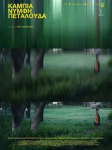 Κάμπια Νύμφη Πεταλούδα