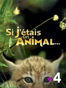 Αν Ήμουν Ζώο / Si J’étais un animal