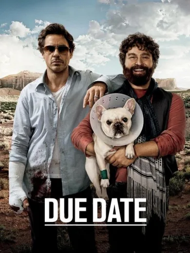 Μη σπρώχνεις, έρχομαι / Due Date