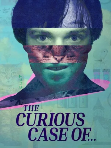 The Curious Case of…