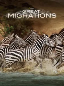 Great Migrations