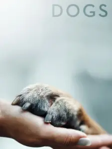 Οι Τετράποδοι Φίλοι μας