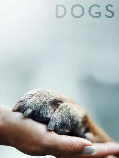 Οι Τετράποδοι Φίλοι μας