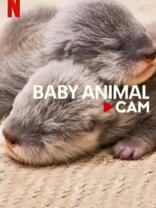 Baby Animal Cam
