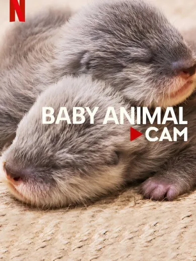 Baby Animal Cam