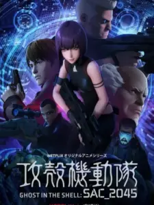 Το Φάντασμα στο Κέλυφος: SAC_2045