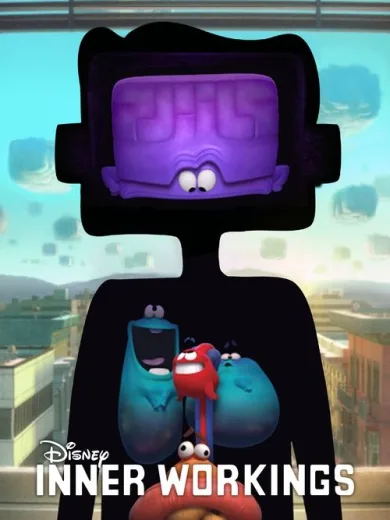 Εσωτερικές Εργασίες