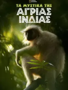 Secrets of Wild India