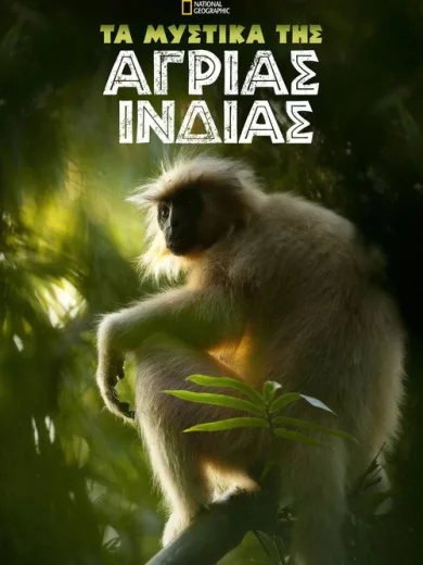 Secrets of Wild India