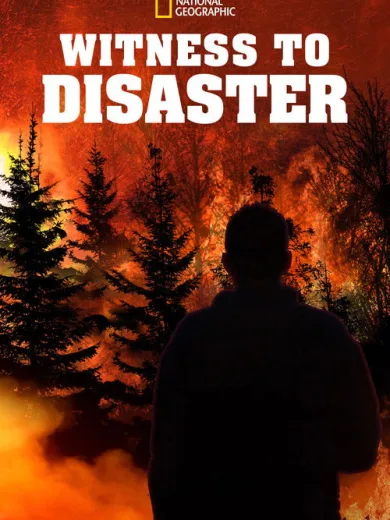 Μαρτυρίες από Καταστροφές