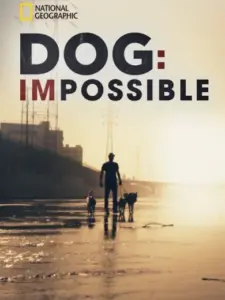 Dog: Impossible