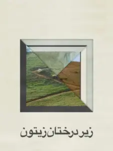 Μέσα από τους ελαιώνες