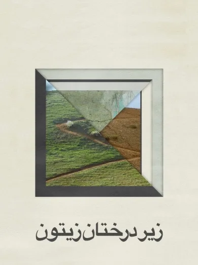 Μέσα από τους ελαιώνες