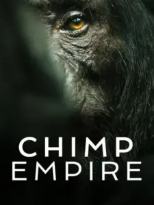 Η Αυτοκρατορία των Χιμπατζήδων