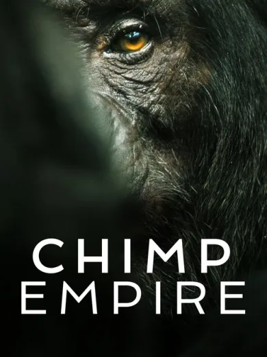 Η Αυτοκρατορία των Χιμπατζήδων