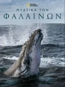 Μυστικά των Φαλαινών