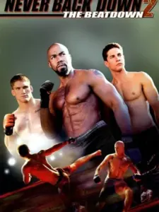 Ανυποχώρητη δύναμη 2: Knock Out