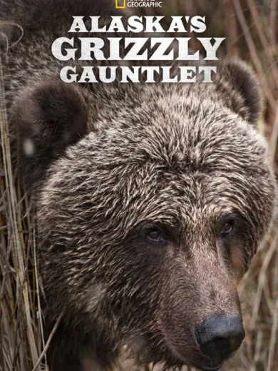 Alaska’s Grizzly Gauntlet
