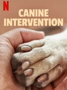 CALI K9: Οι Γητευτές των Σκύλων