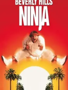 Νίντζα 900 κυβικών