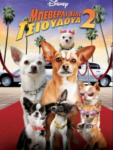 Μπέβερλι Χιλς Τσιουάουα 2