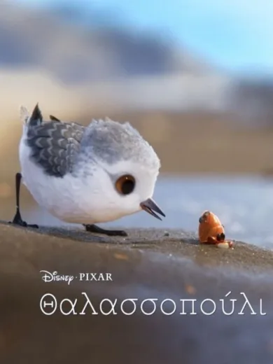 Θαλασσοπούλι