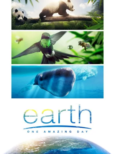 Πλανήτης Γη: Μια υπέροχη μέρα