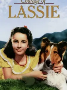 Courage of Lassie