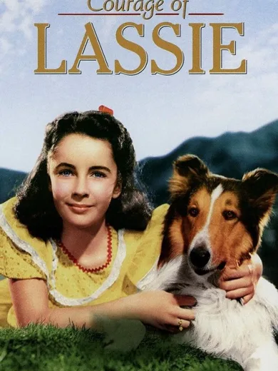 Courage of Lassie