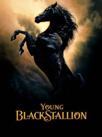 Young Black Stallion