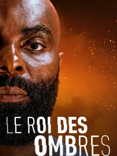 Le Roi des Ombres