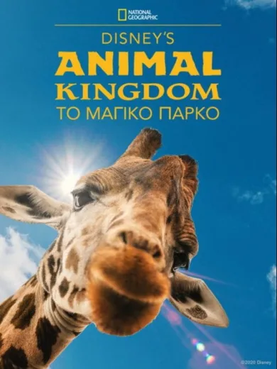 Disney’s Animal Kingdom: Το Μαγικό Πάρκο