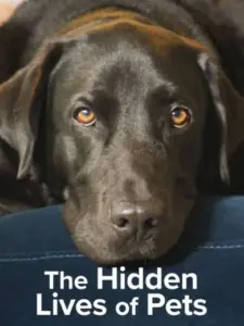 Η Κρυφή Ζωή των Κατοικιδίων