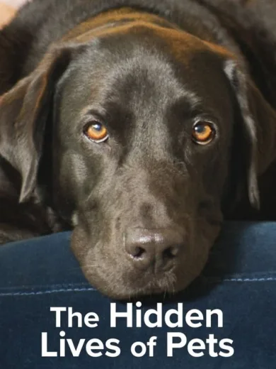 Η Κρυφή Ζωή των Κατοικιδίων