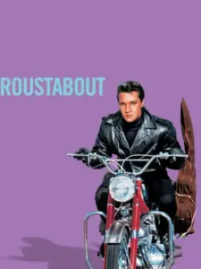 Το πανηγύρι