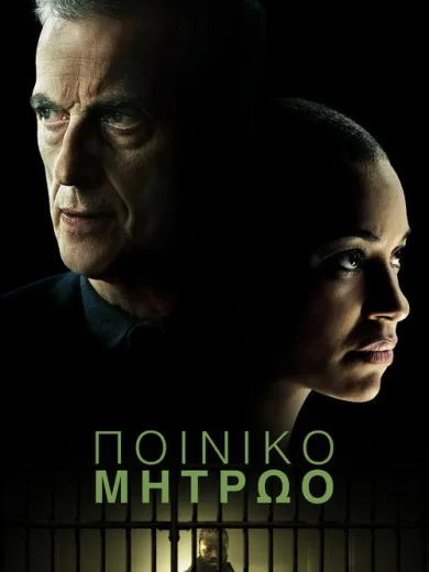 Ποινικό Μητρώο