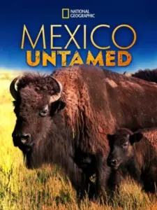 Mexico Untamed