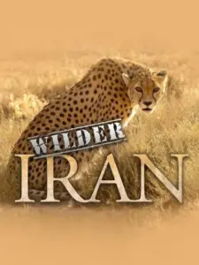 Wilder Iran