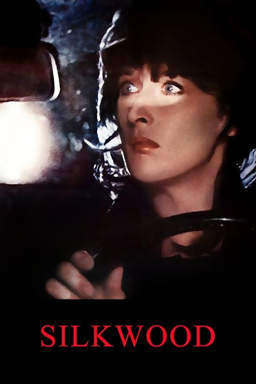 Η Εξαφάνιση της Κάρεν Σίλκγουντ / Silkwood