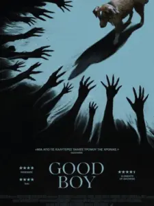 Good Boy