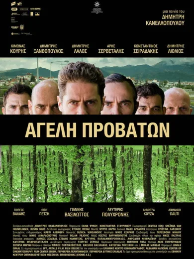 Αγέλη Προβάτων