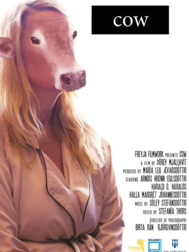 Αγελάδα / Cow