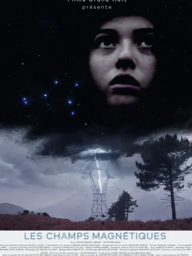 Μαγνητικά Πεδία / Magnetic Fields