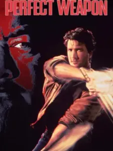 Το τέλειο όπλο / The Perfect Weapon