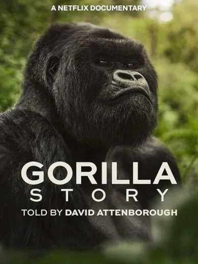 Ντέιβιντ Ατένμπορο: Η Ιστορία ενός Γορίλα / A Gorilla Story: Told by David Attenborough