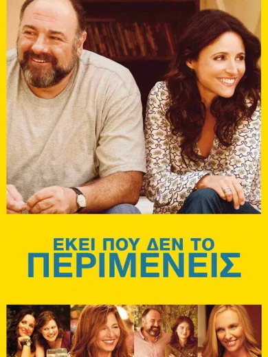 Εκεί που δεν το Περιμένεις / Enough Said