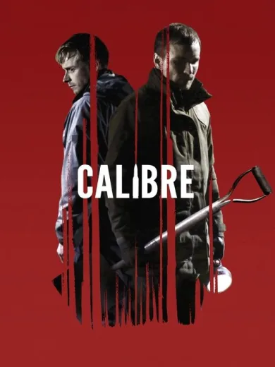 Διαμέτρημα / Calibre