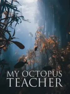 Ο Δάσκαλός μου, το Χταπόδι / My Octopus Teacher