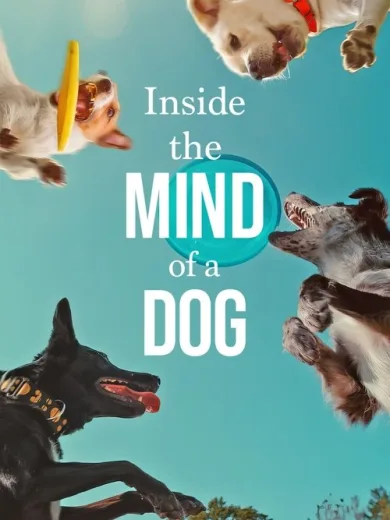 Στο Μυαλό ενός Σκύλου / Inside the Mind of a Dog