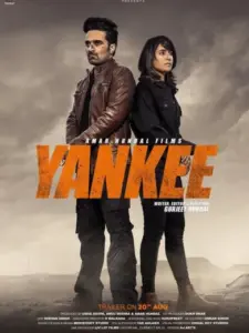 Yankee